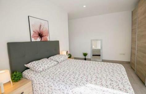 Appartement Entier El Altet Eksteriør billede